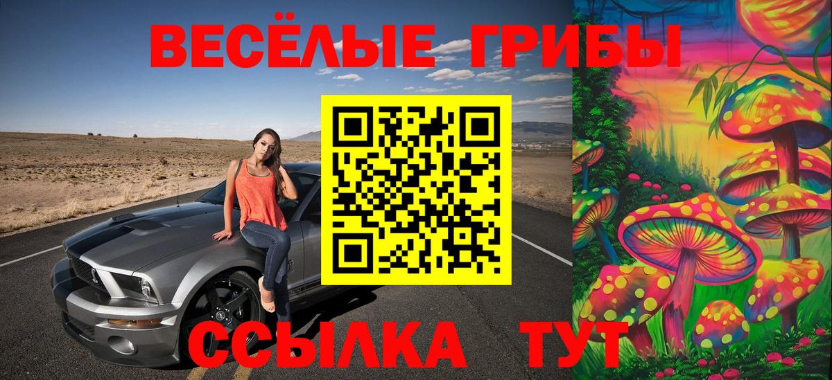 Псилоцибиновые грибы прущие грибы Дмитров